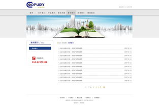 北京網站建設 原創先鋒，案例引領未來